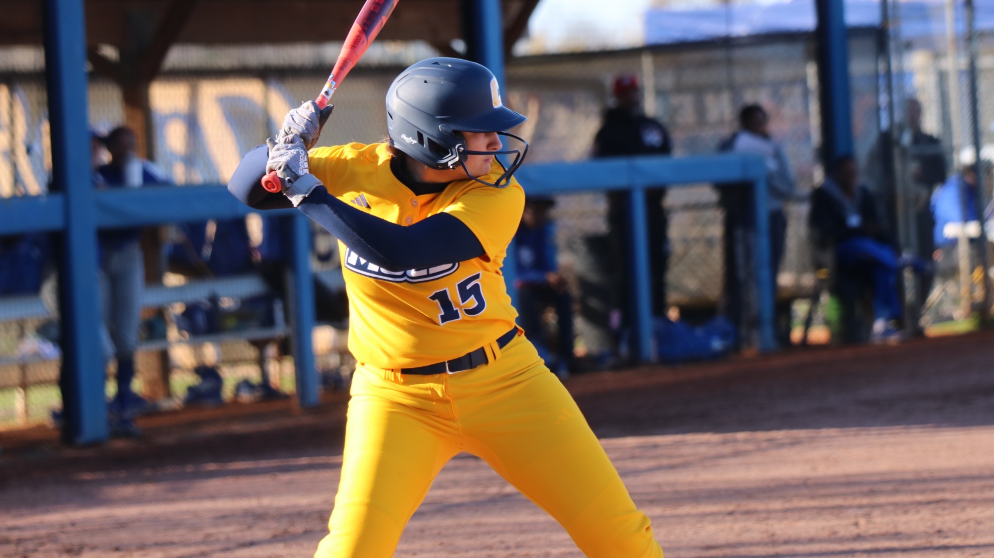 softball player at the plate waiting for the pitch