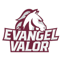 Opponent Logo
