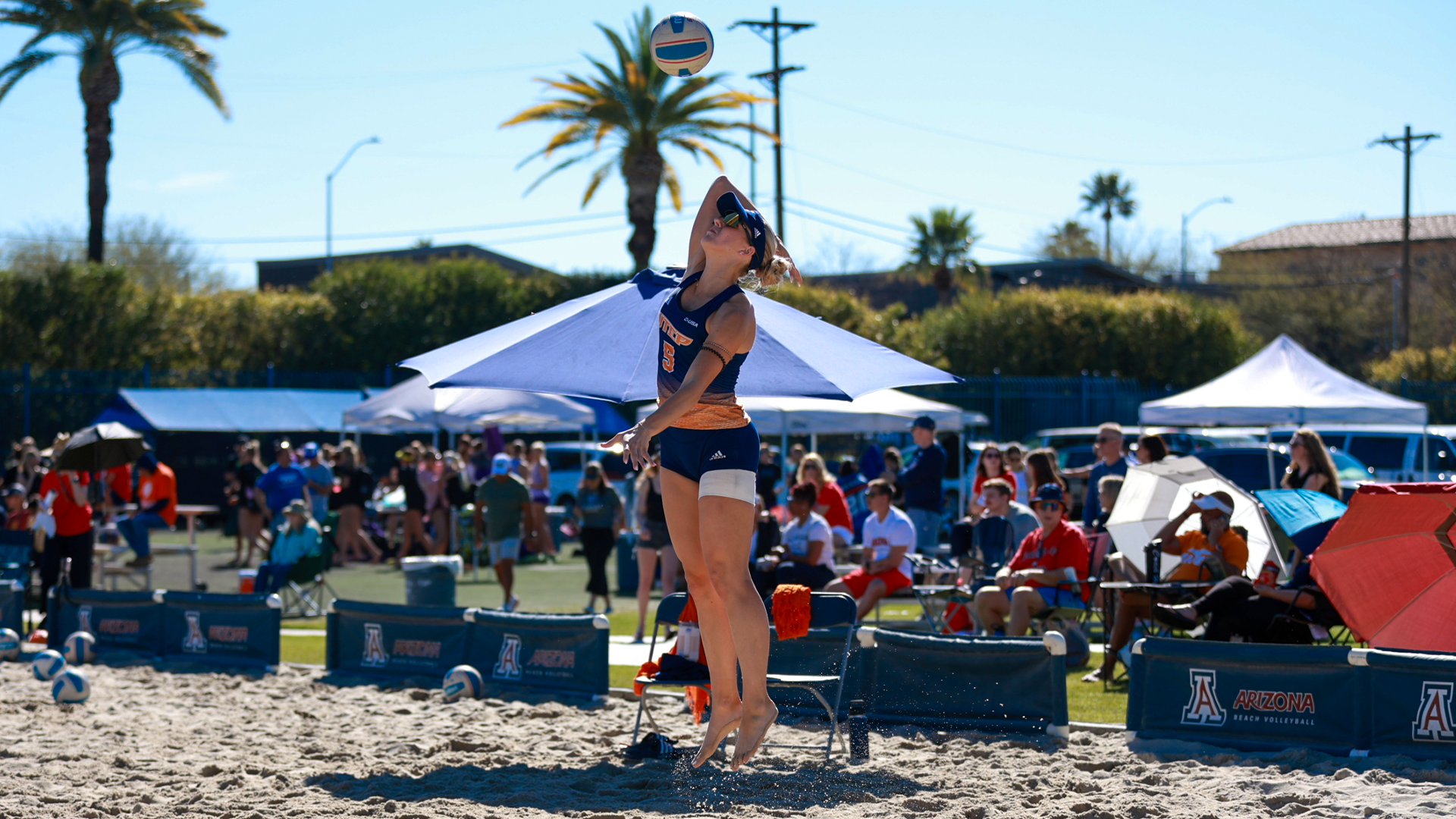 BVB-Krista Paegle-action