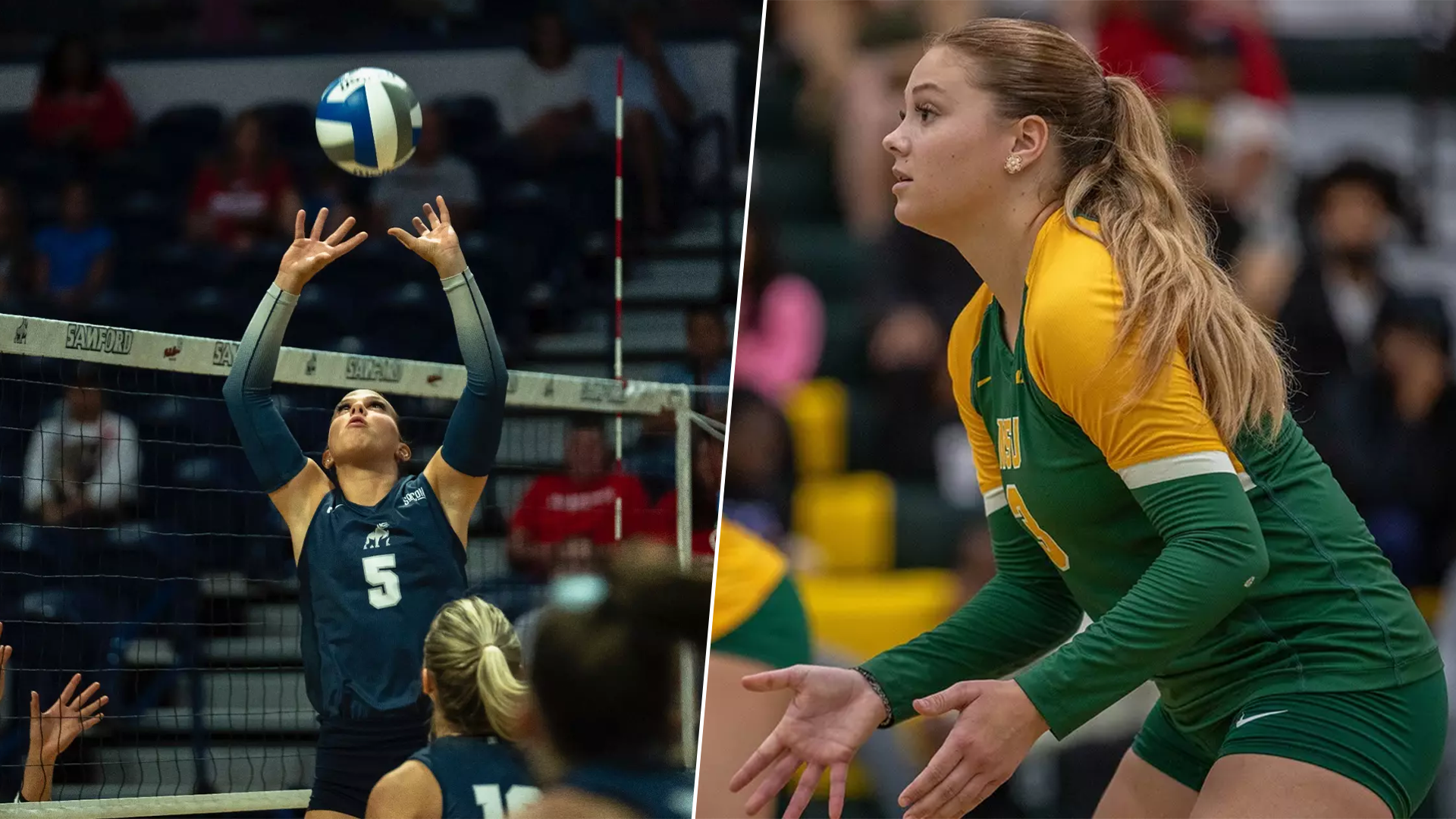 VB-Shea Bruntmyer, Lily-Rose Pichon-signees