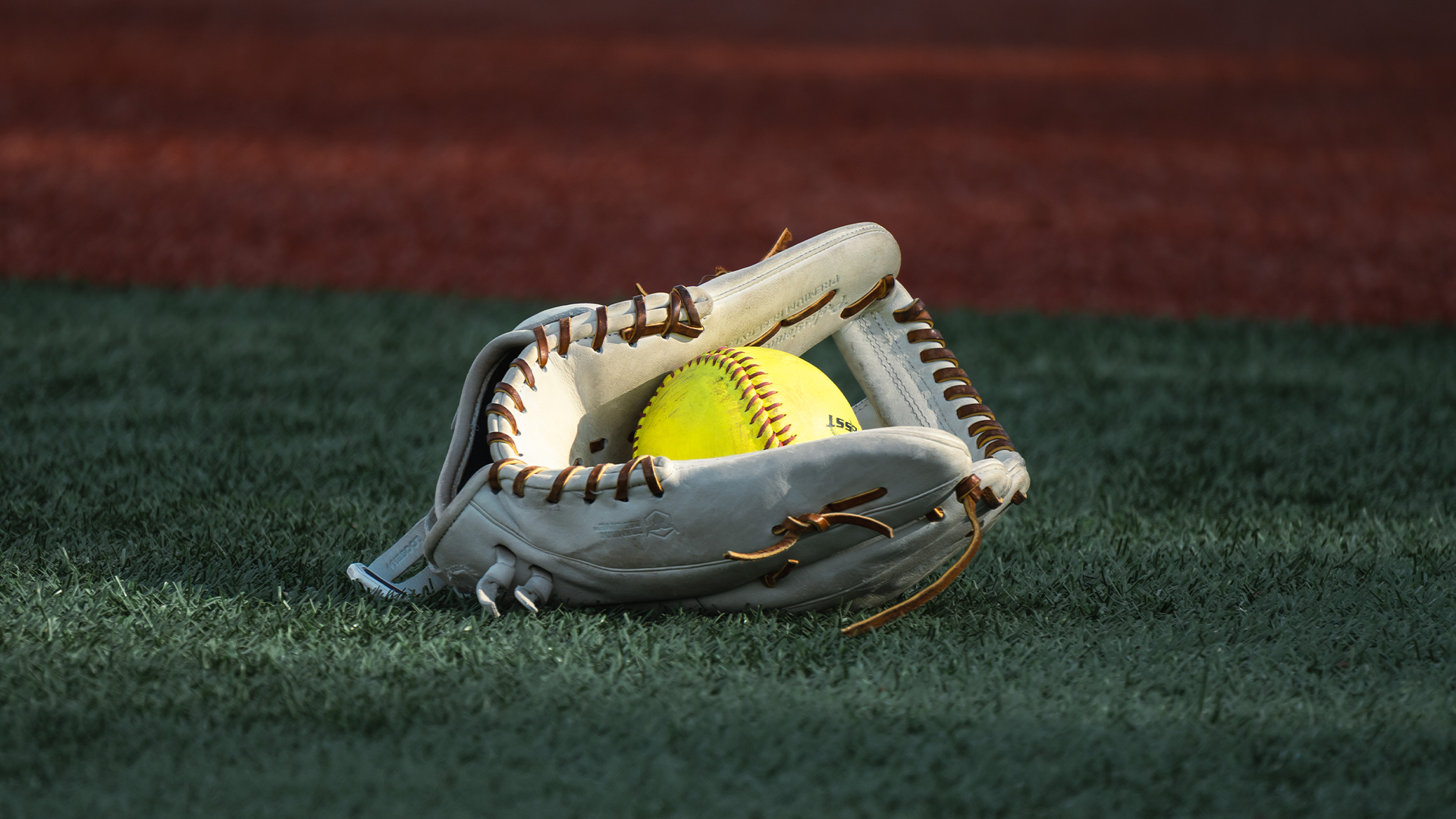 SB-Glove stock
