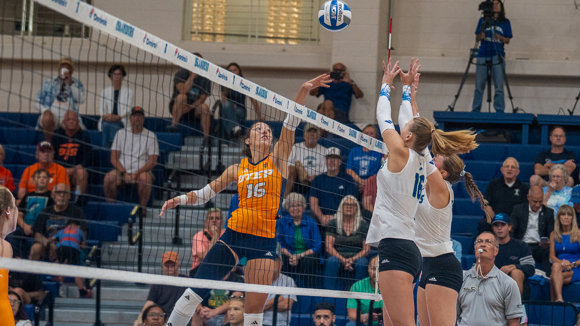 VB-Mackenzi Davis-action