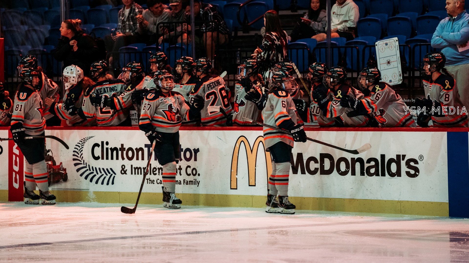 Carly Stefanini Women's Ice Hockey Utica University Athletics