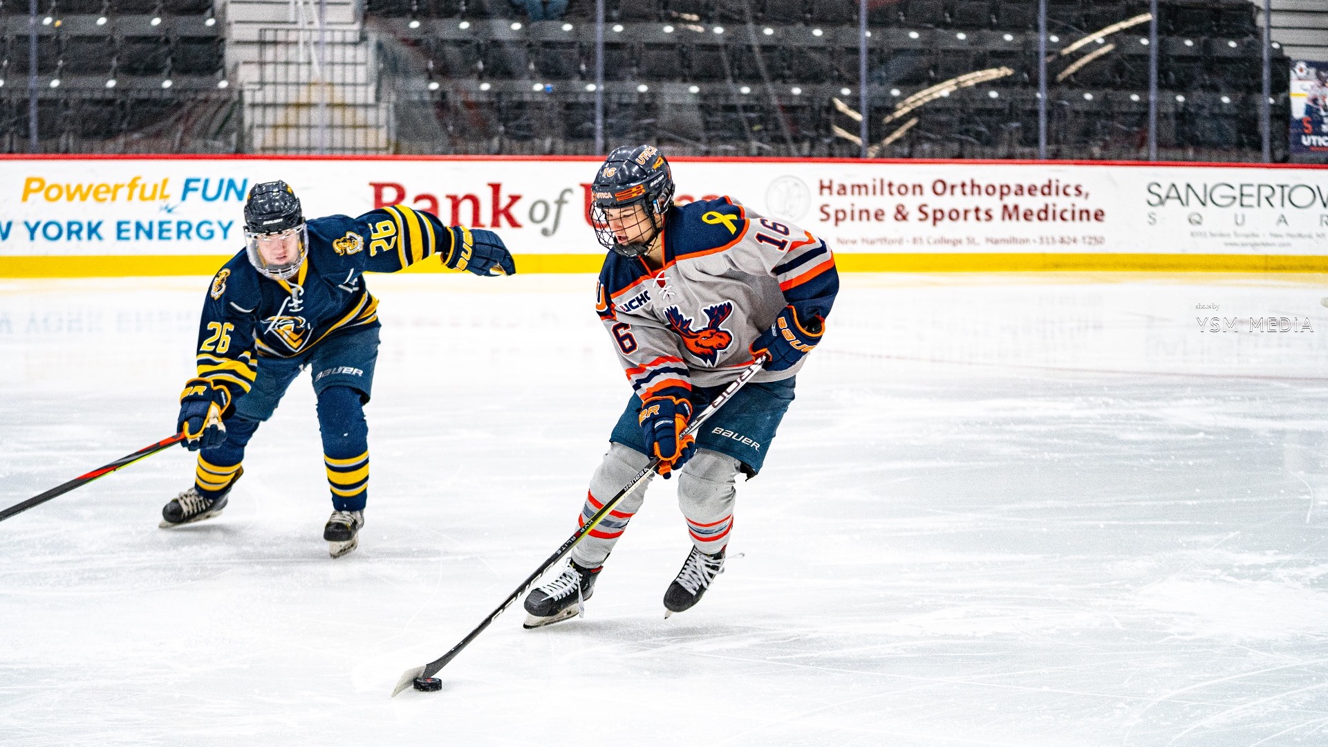No. 9 Women's Hockey Downs Alvernia to Complete Series Sweep Utica