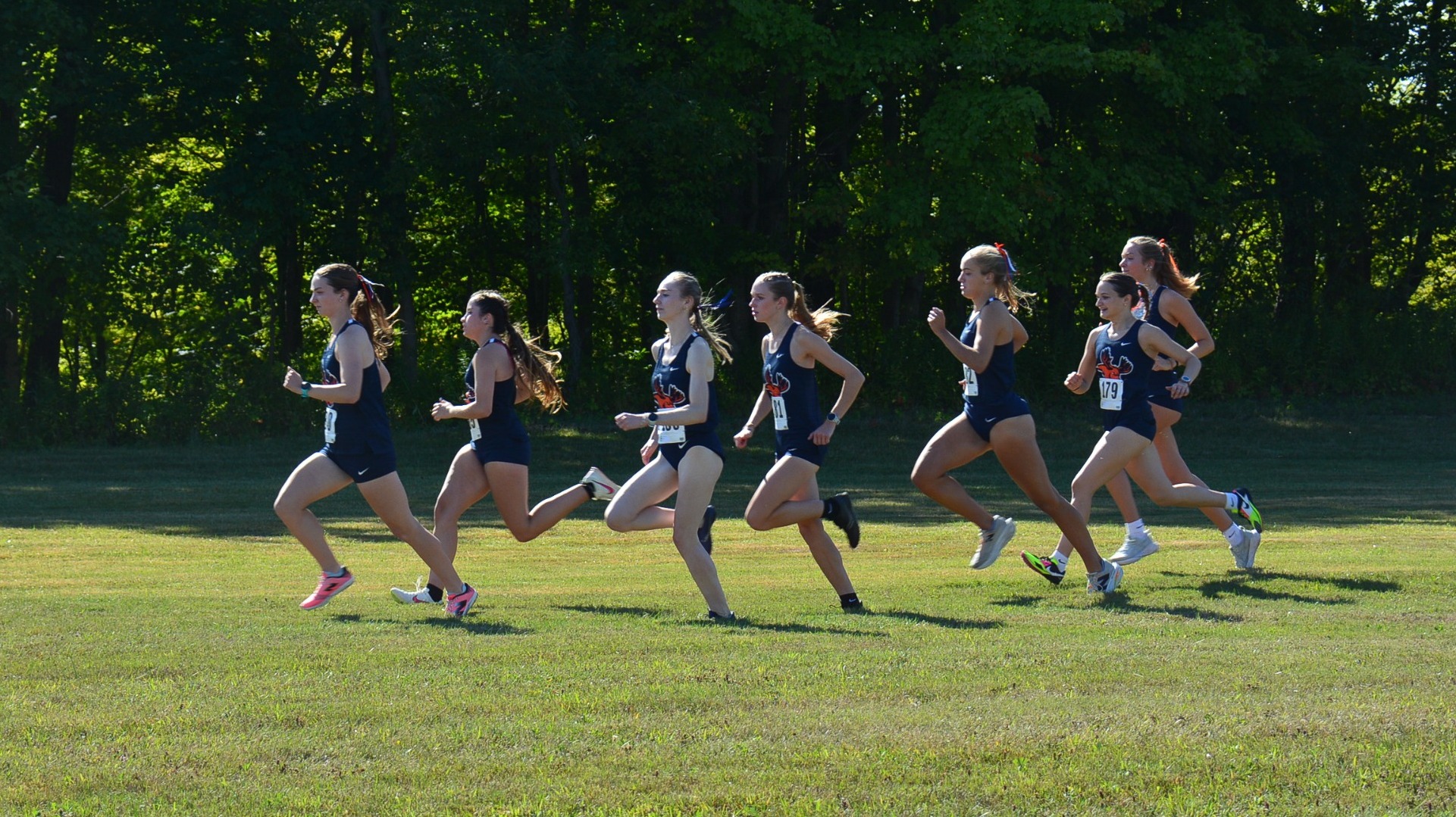wxc team
