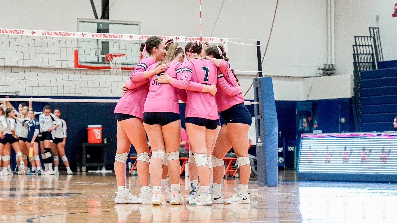 vb pink team