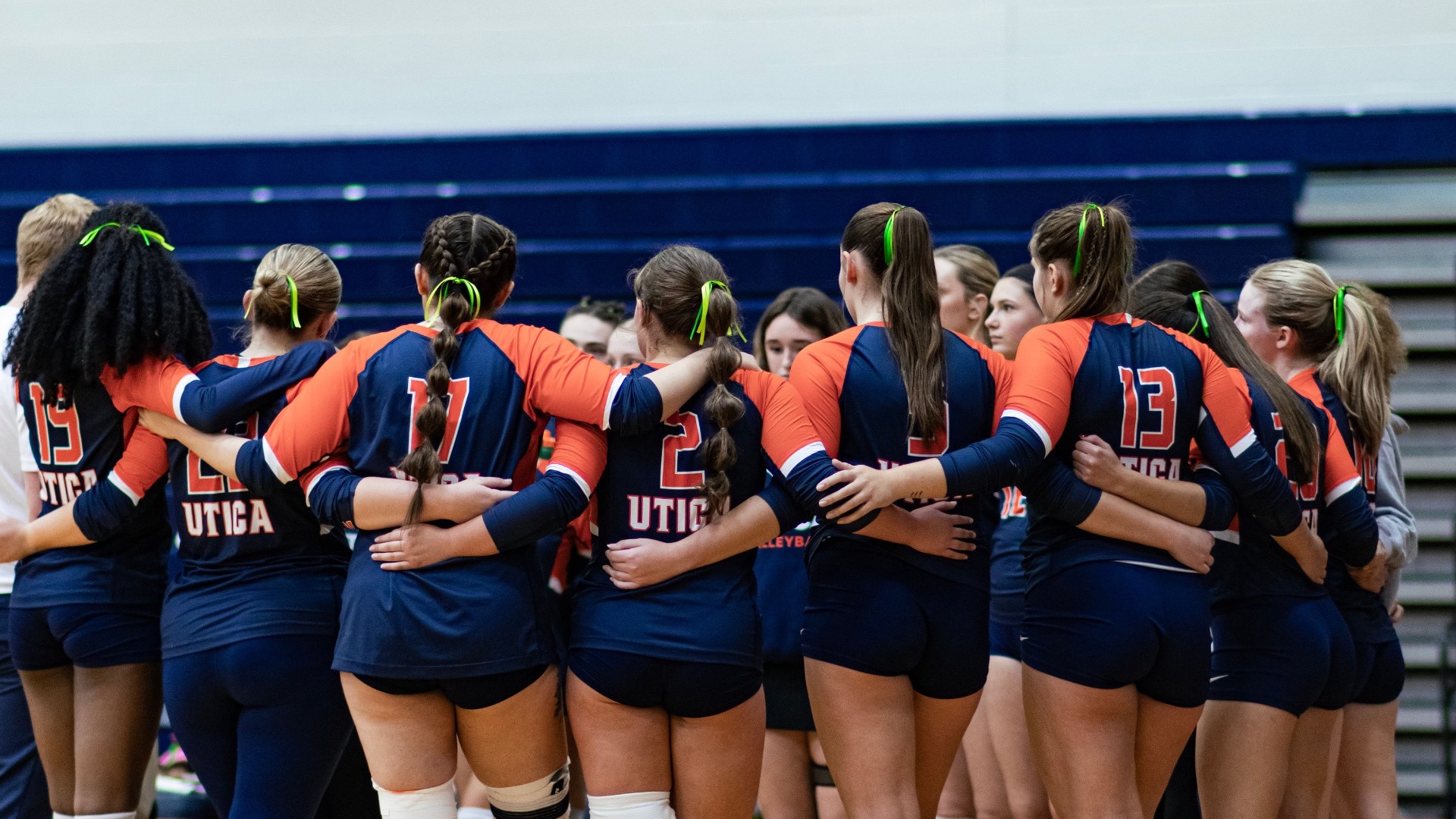 vb team