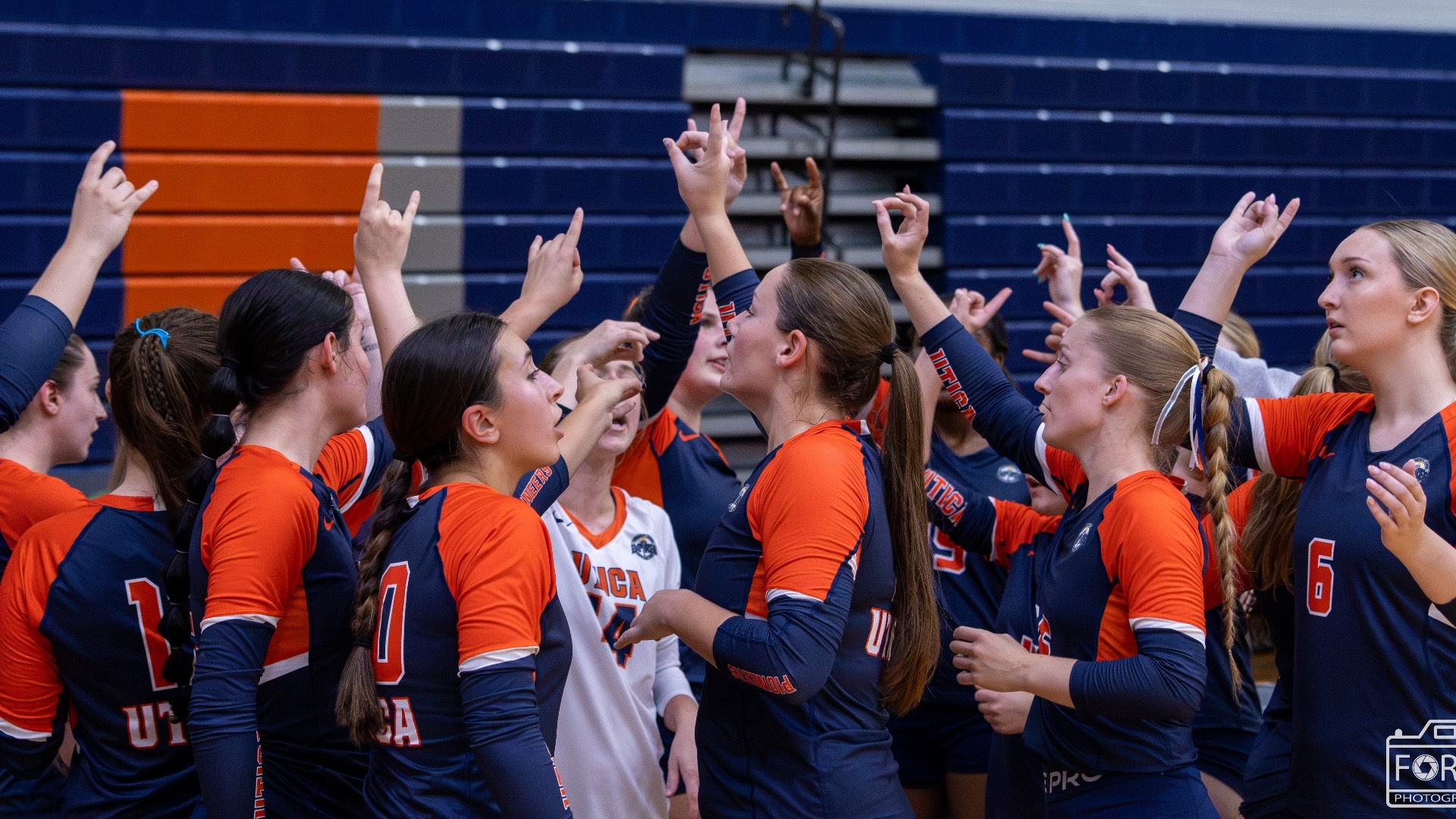 vb team