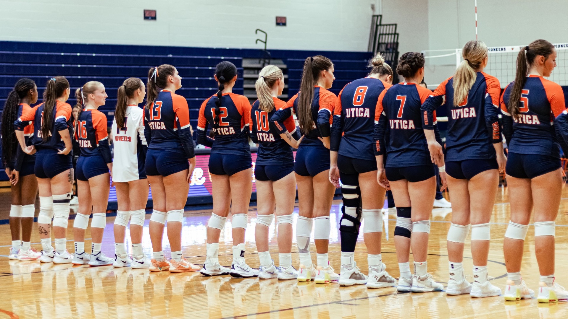 vb team