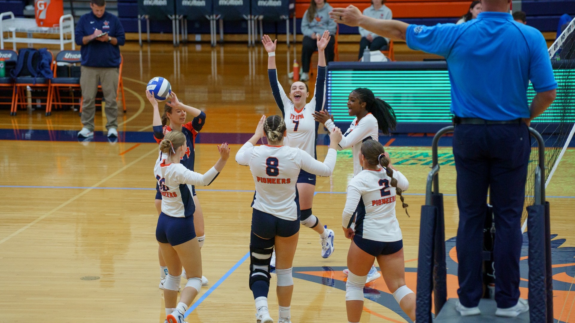 vb celly