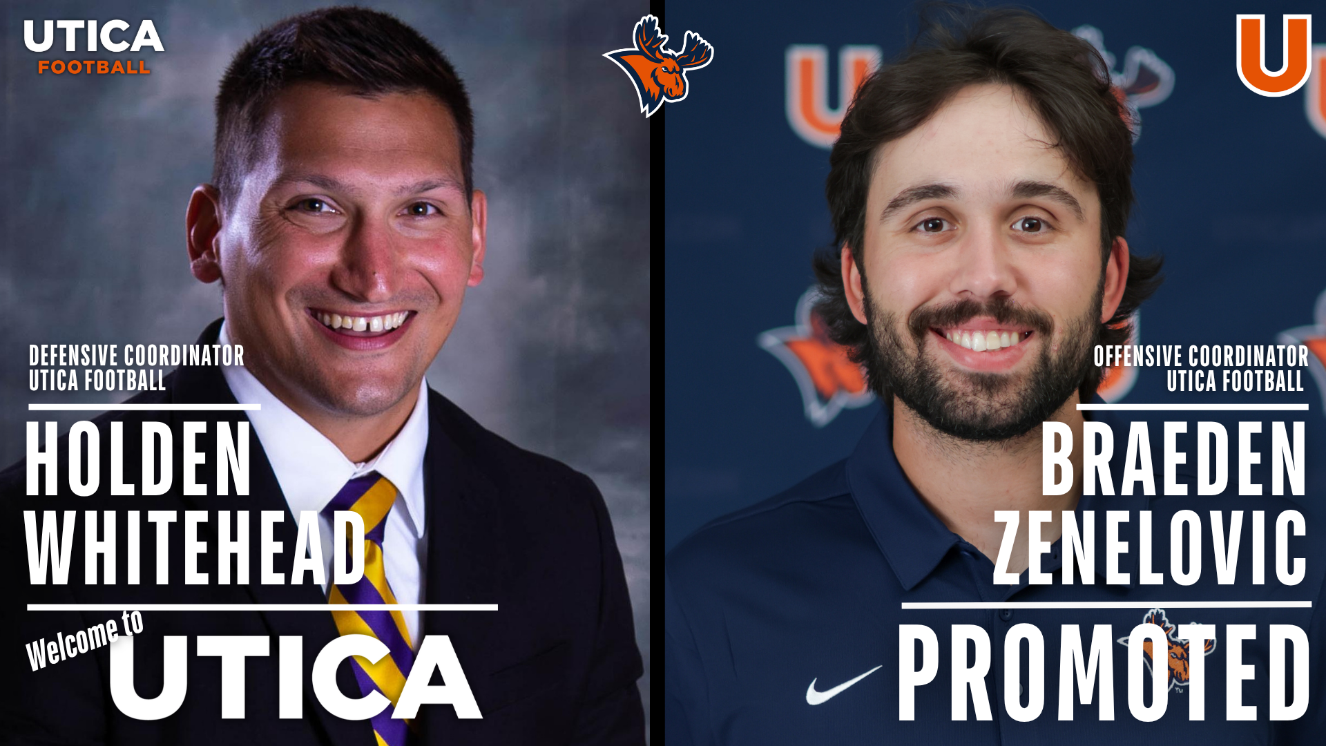 Whitehead and Zenelovic Article