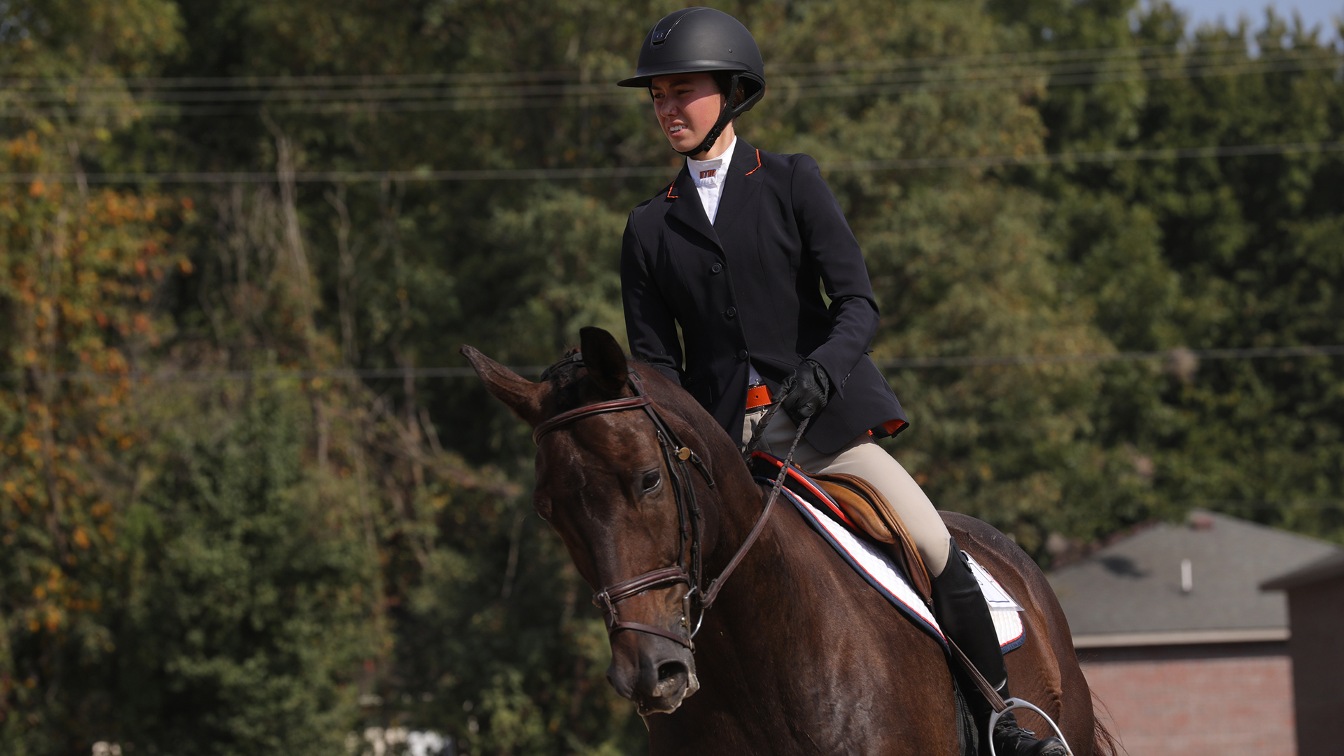 Kelby Kane Equestrian UTM Athletics