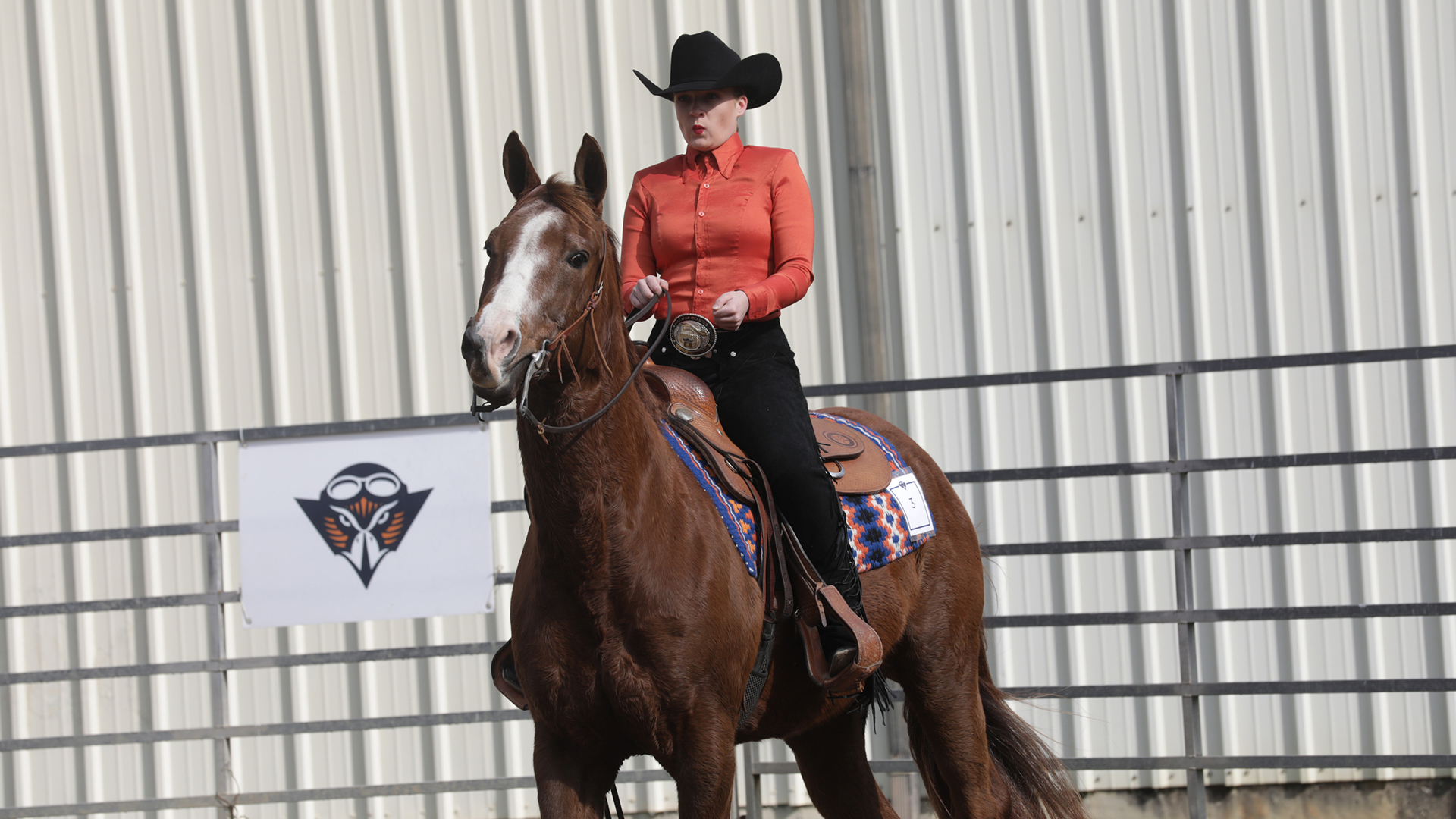 Lucy Eier Equestrian UTM Athletics