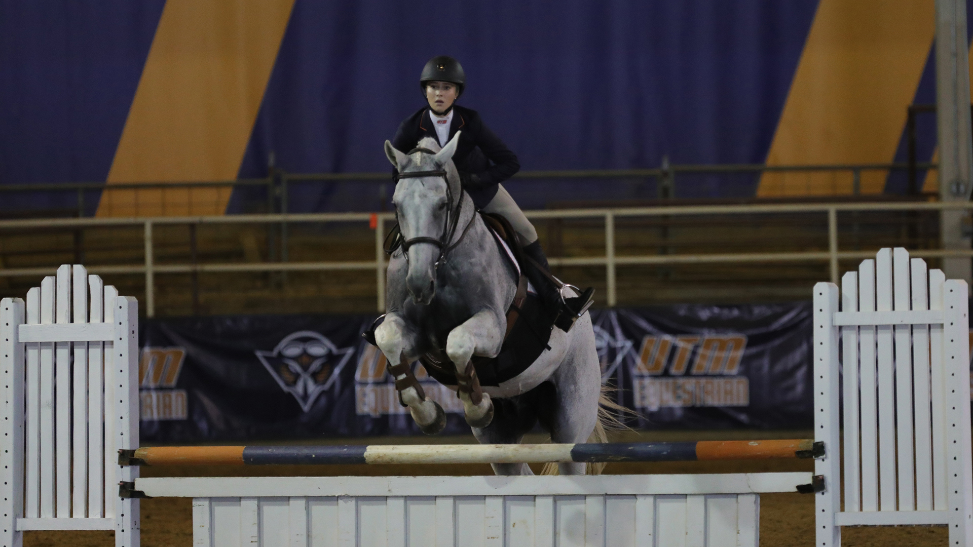 Tyler Anderson Equestrian UTM Athletics