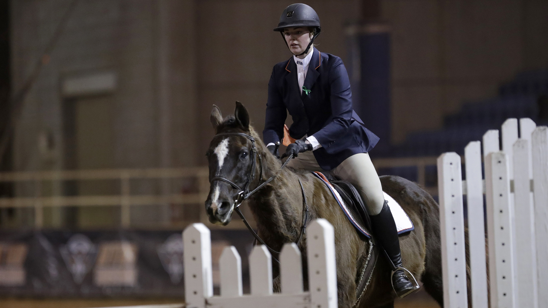 Julia Gilman Equestrian UTM Athletics
