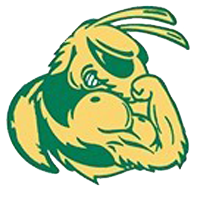 Opponent Logo