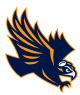Skyhawk