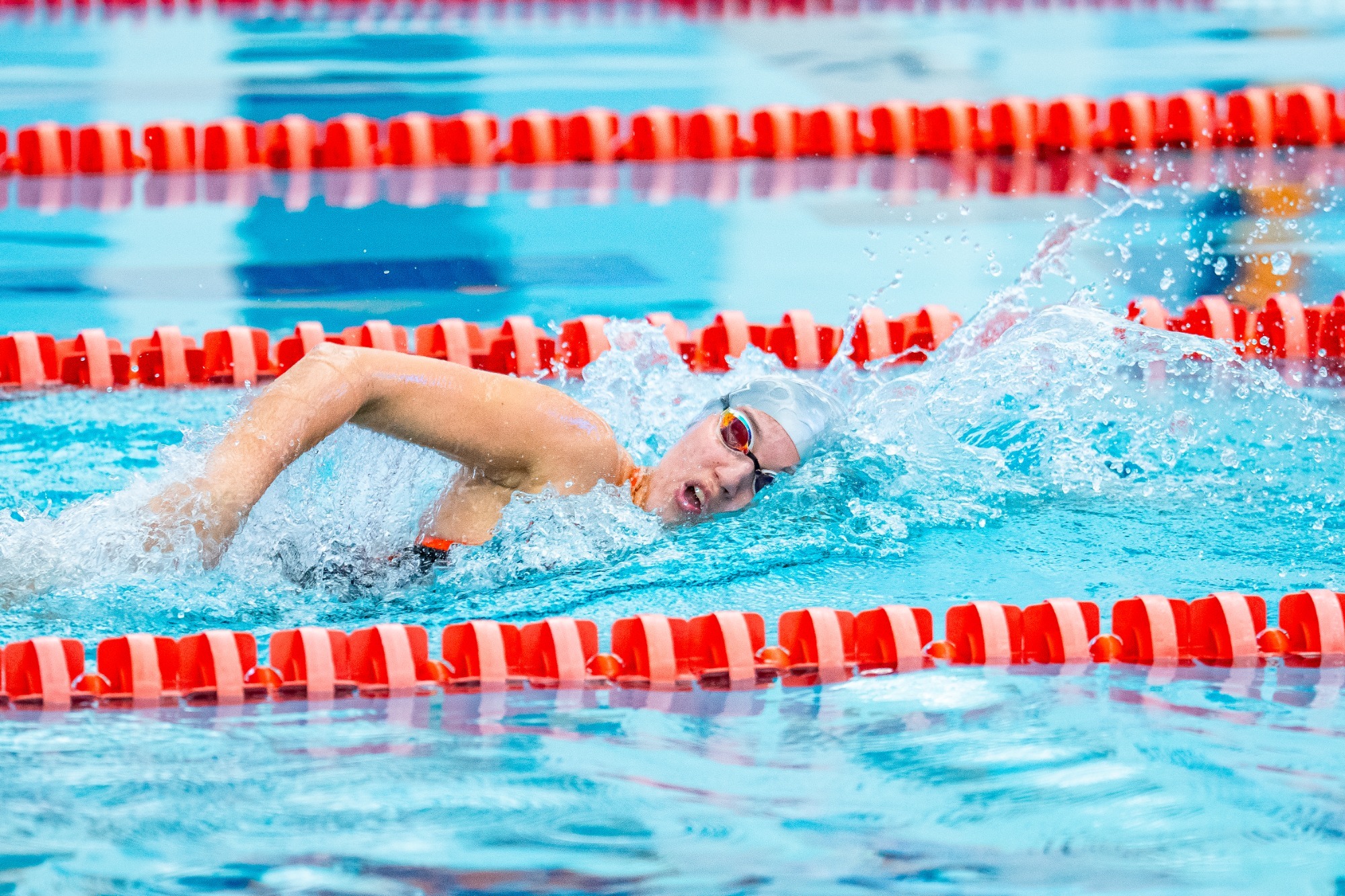 Photo for swimming and diving preview against New Mexico and New Mexico State 