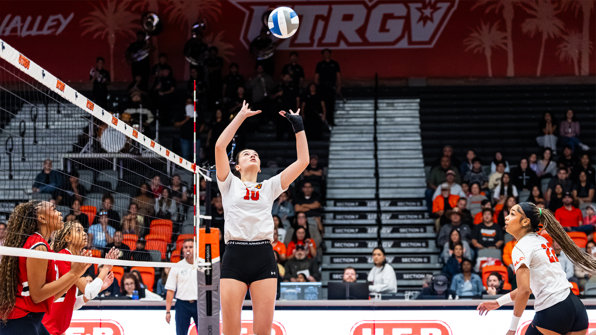 Lana Rnjak Setting the Ball