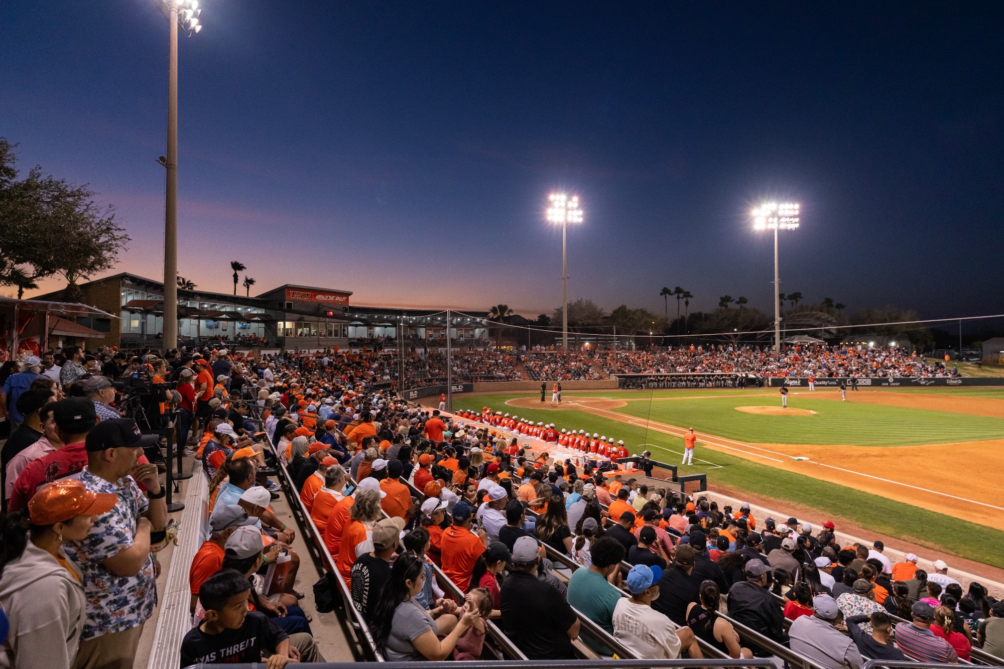 Packed Baseball Crowd