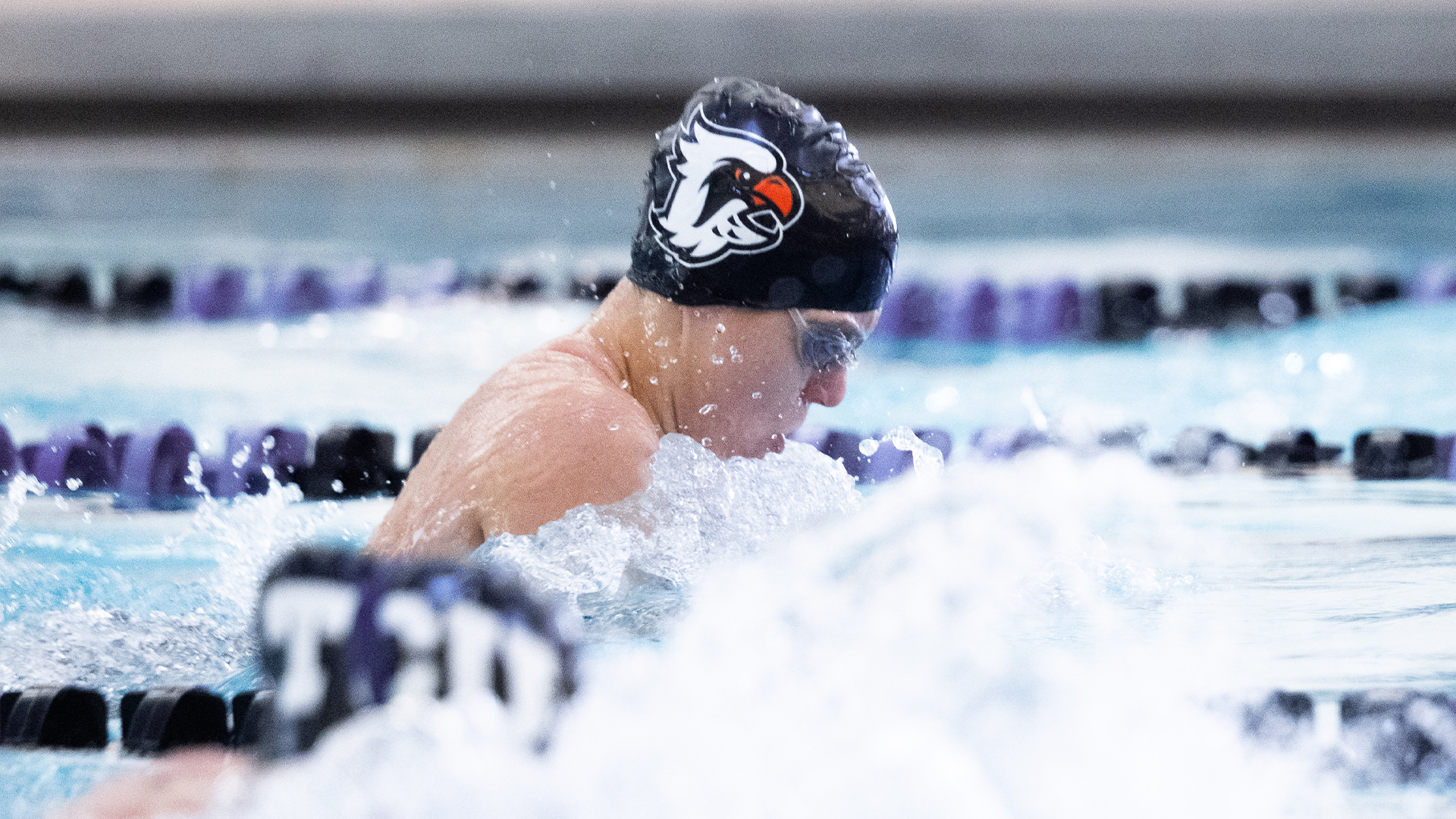 Swim & Dive vs TCU 2026