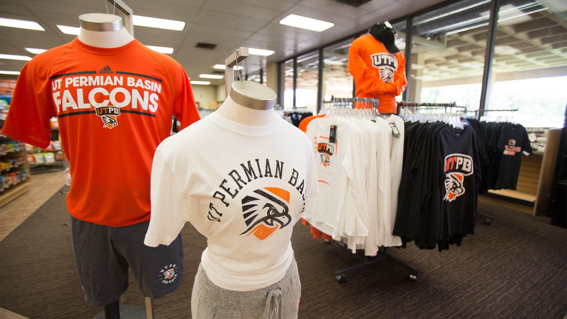 Photo of merchandise in bookstore