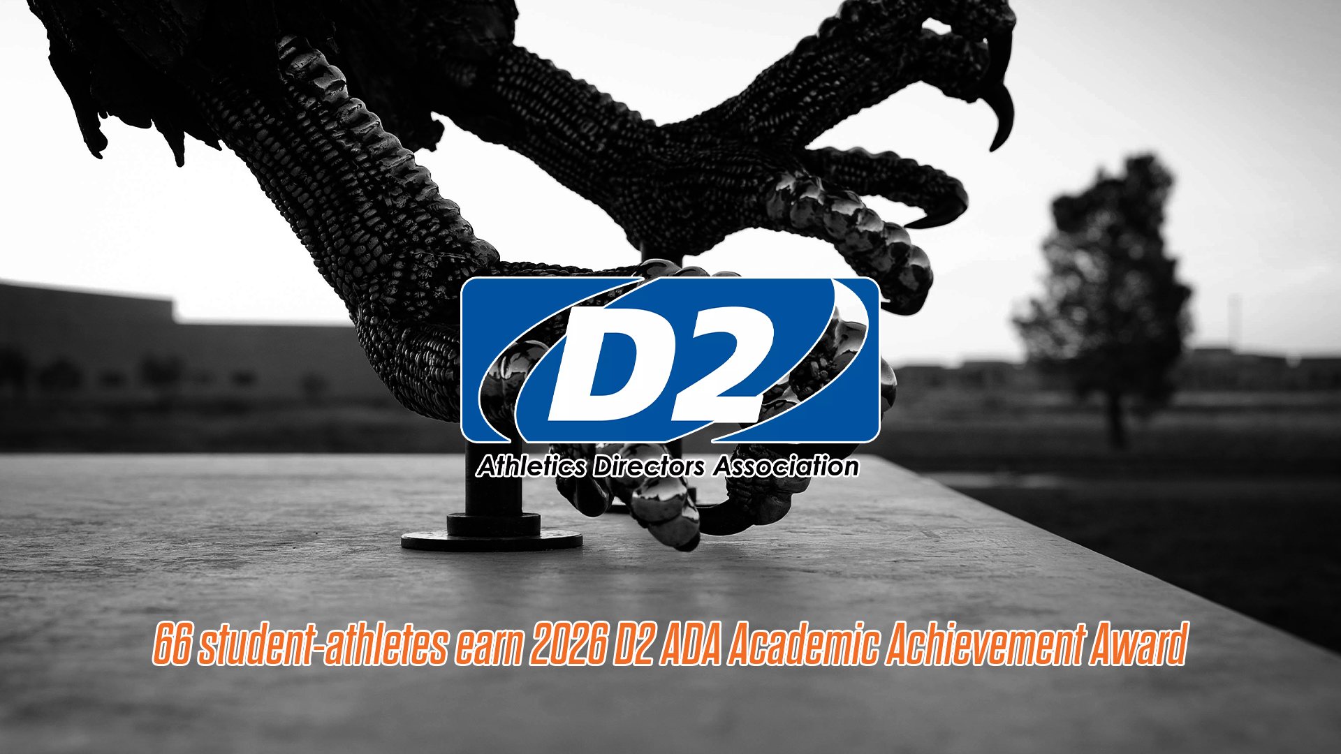 2026 D2 ADA Academic award graphic