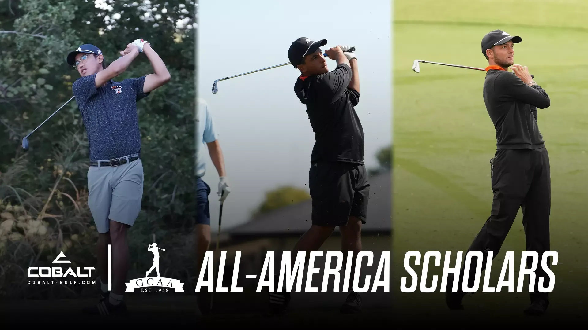 2026 Men's Golf  Colbat-GCAA-All_America-Scholars