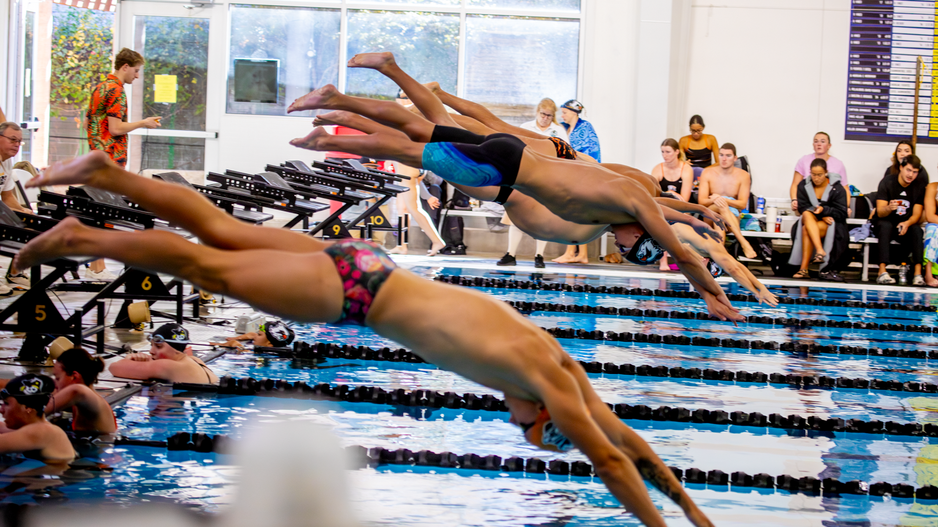 Men's swim team diving into the pool