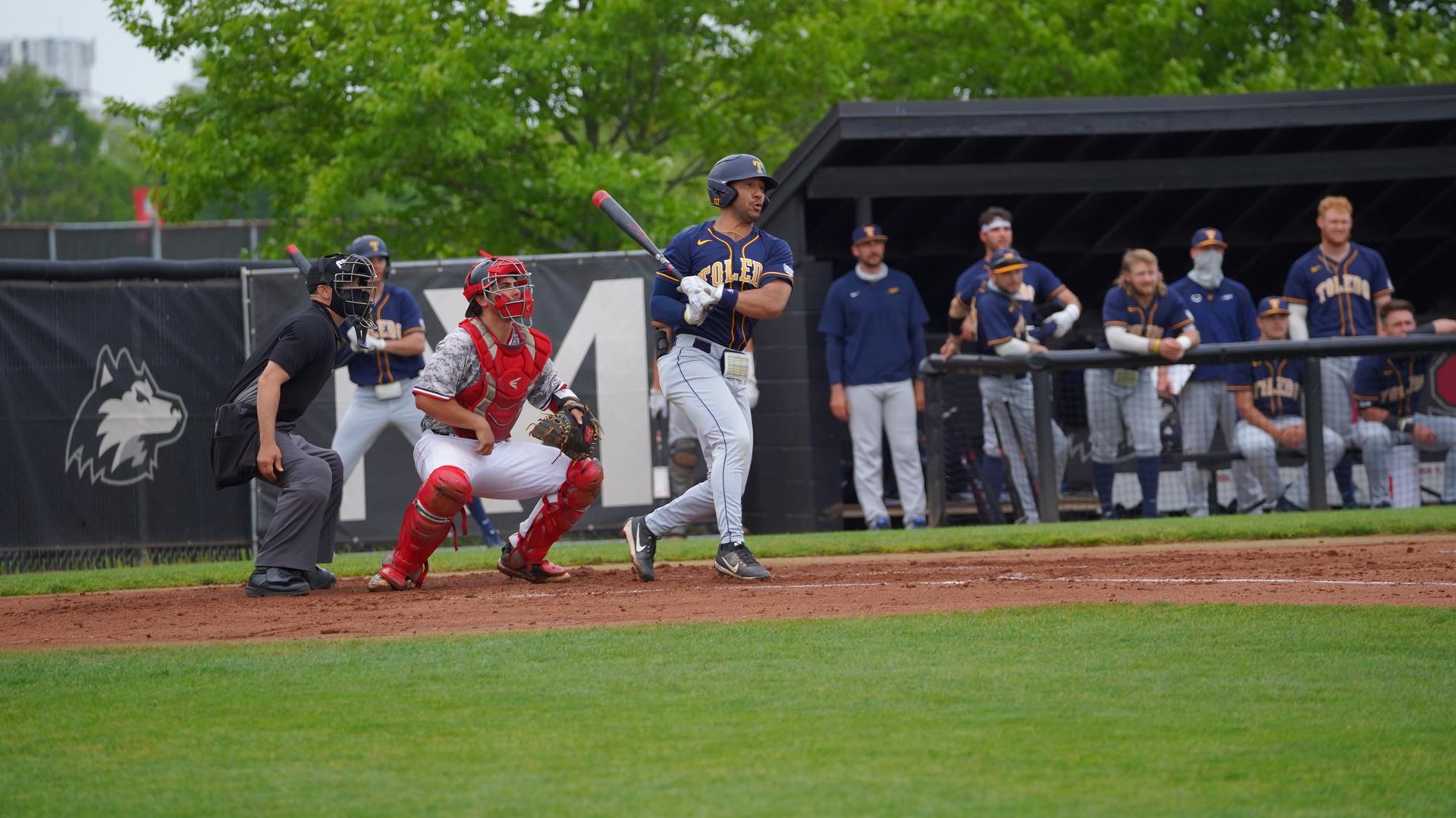 Darryn Davis Baseball University of Toledo Athletics