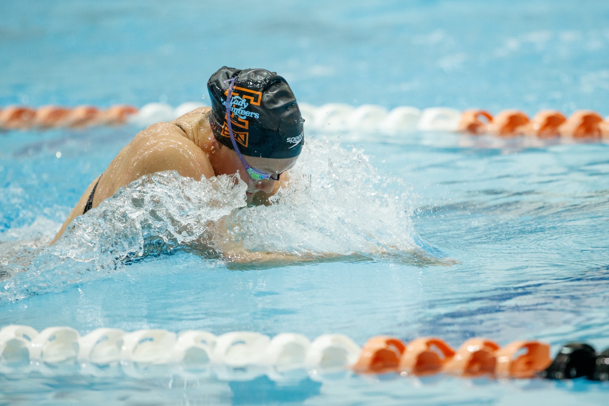 Molly Blanchard Swimming & Diving University of Tennessee Athletics