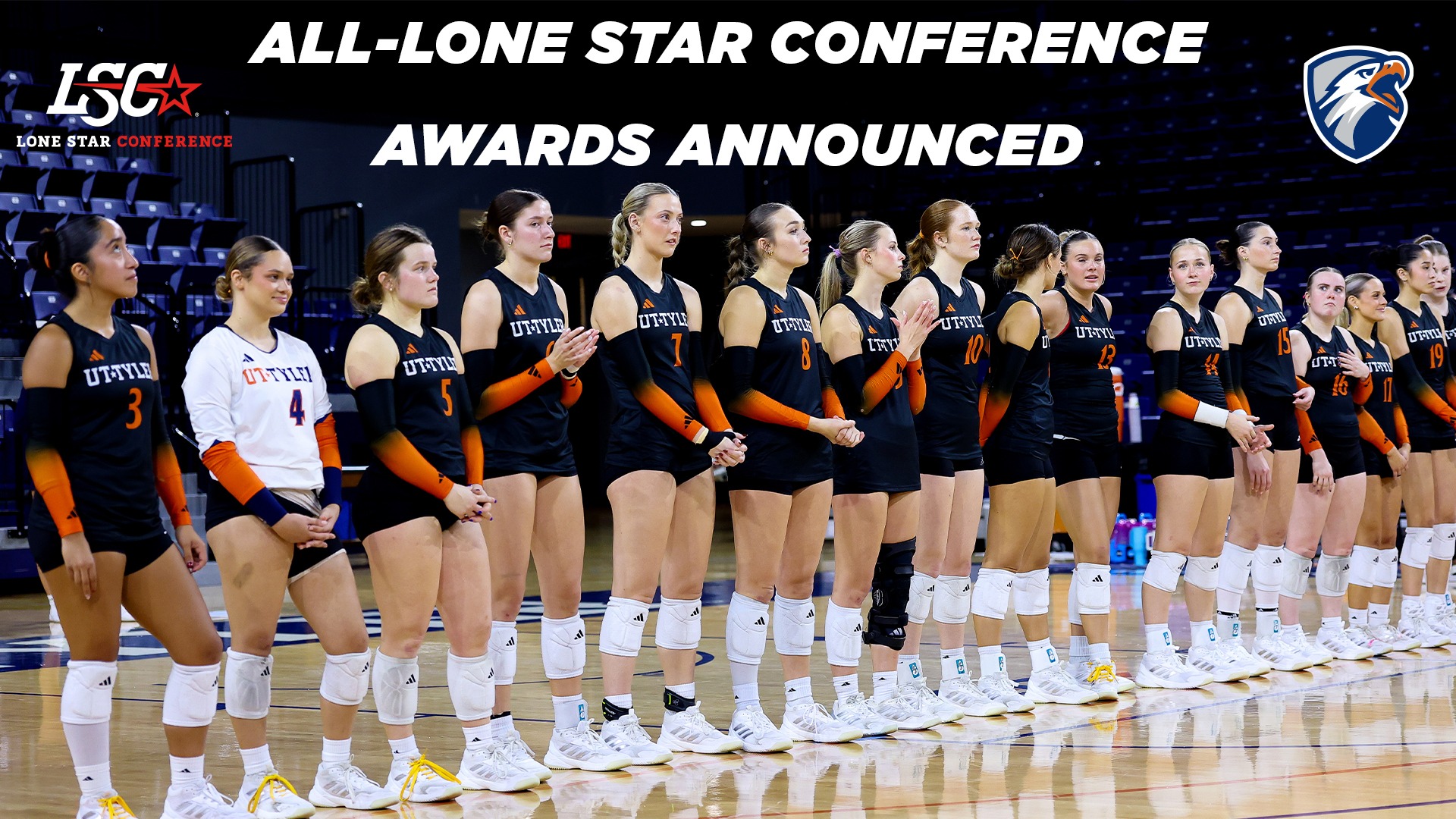 Volleyball All-LSC Honors