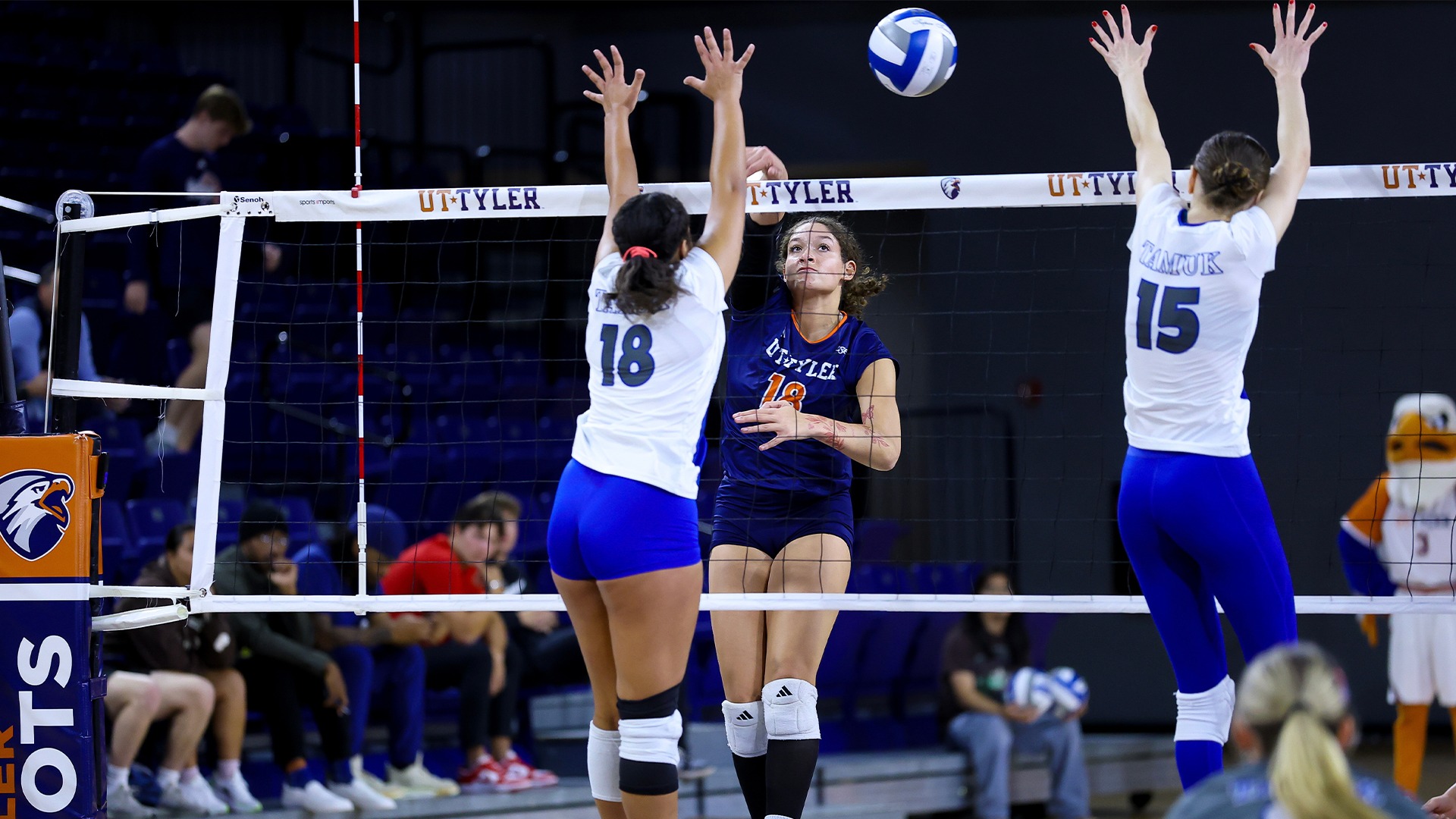 tamuk vb