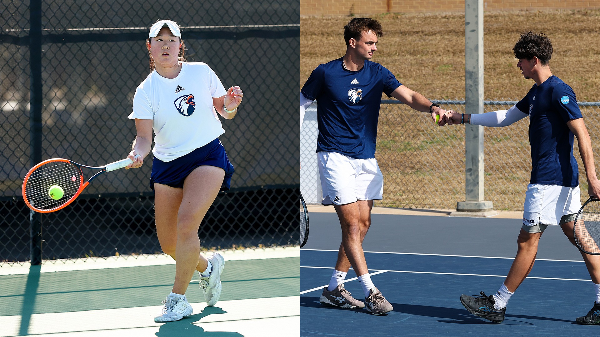 Hailey Zhang, Carel Wessel, and Malo Poulesquen