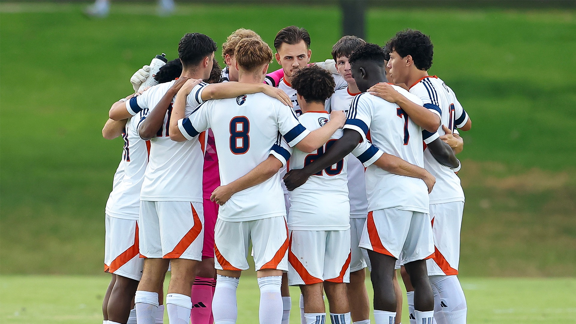 msoc preview 4