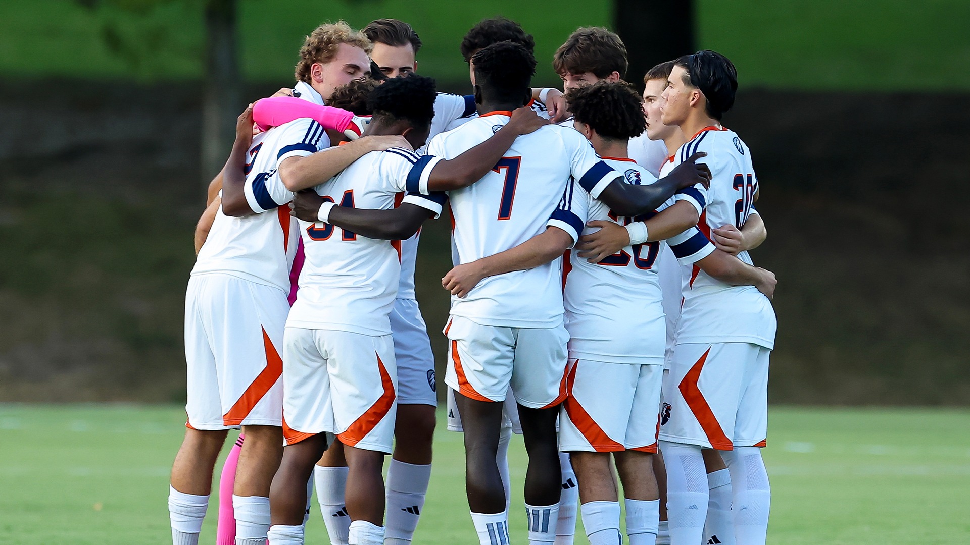 Msoc preview 6
