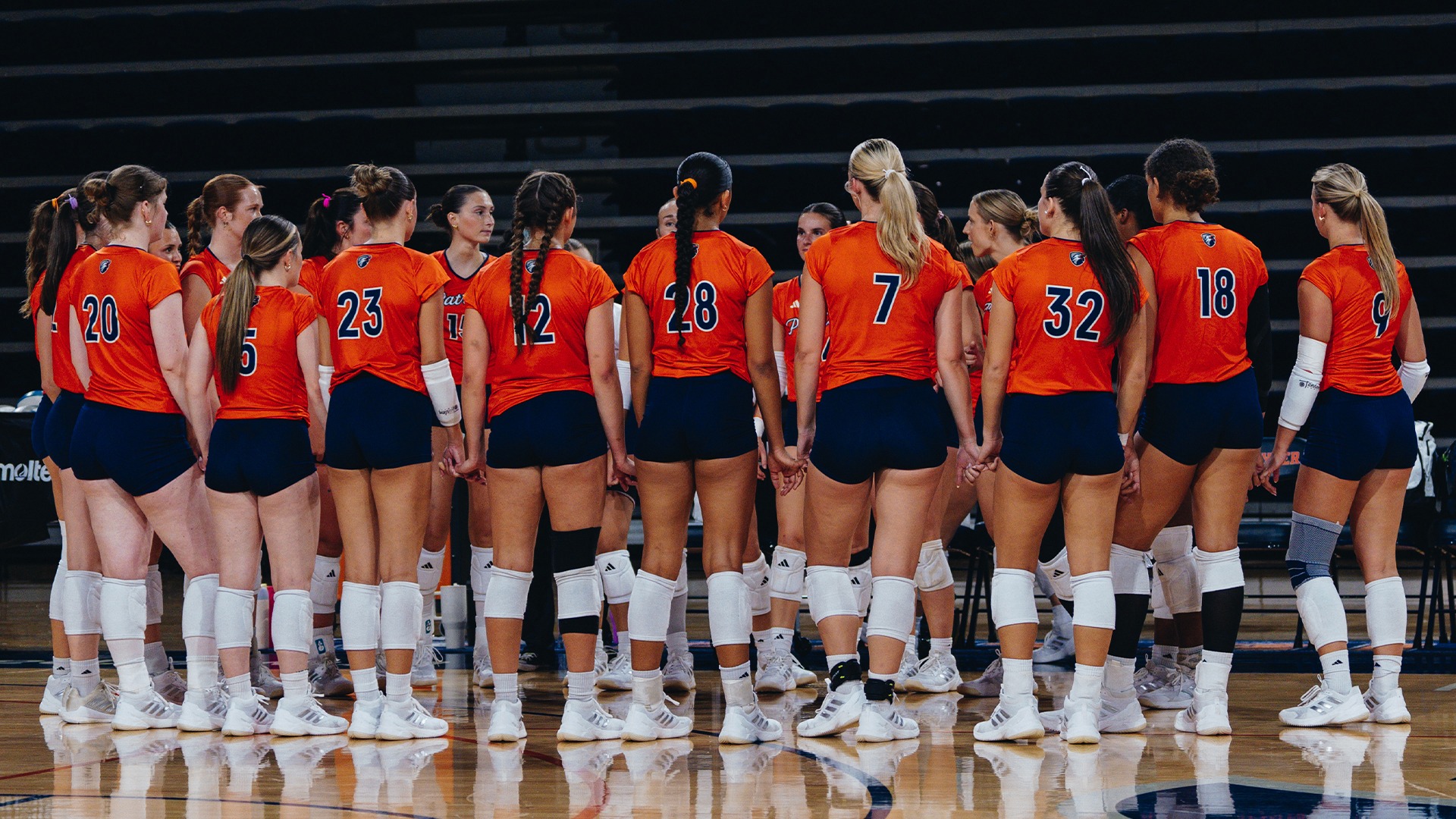 vb preview 6