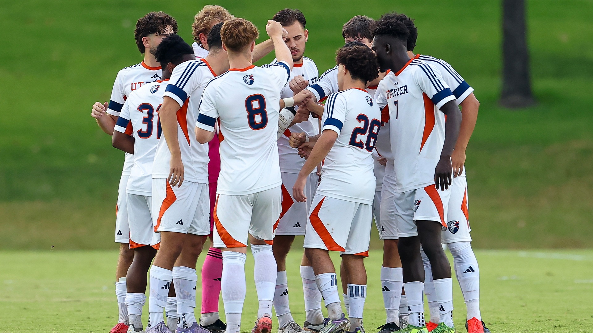 msoc draw