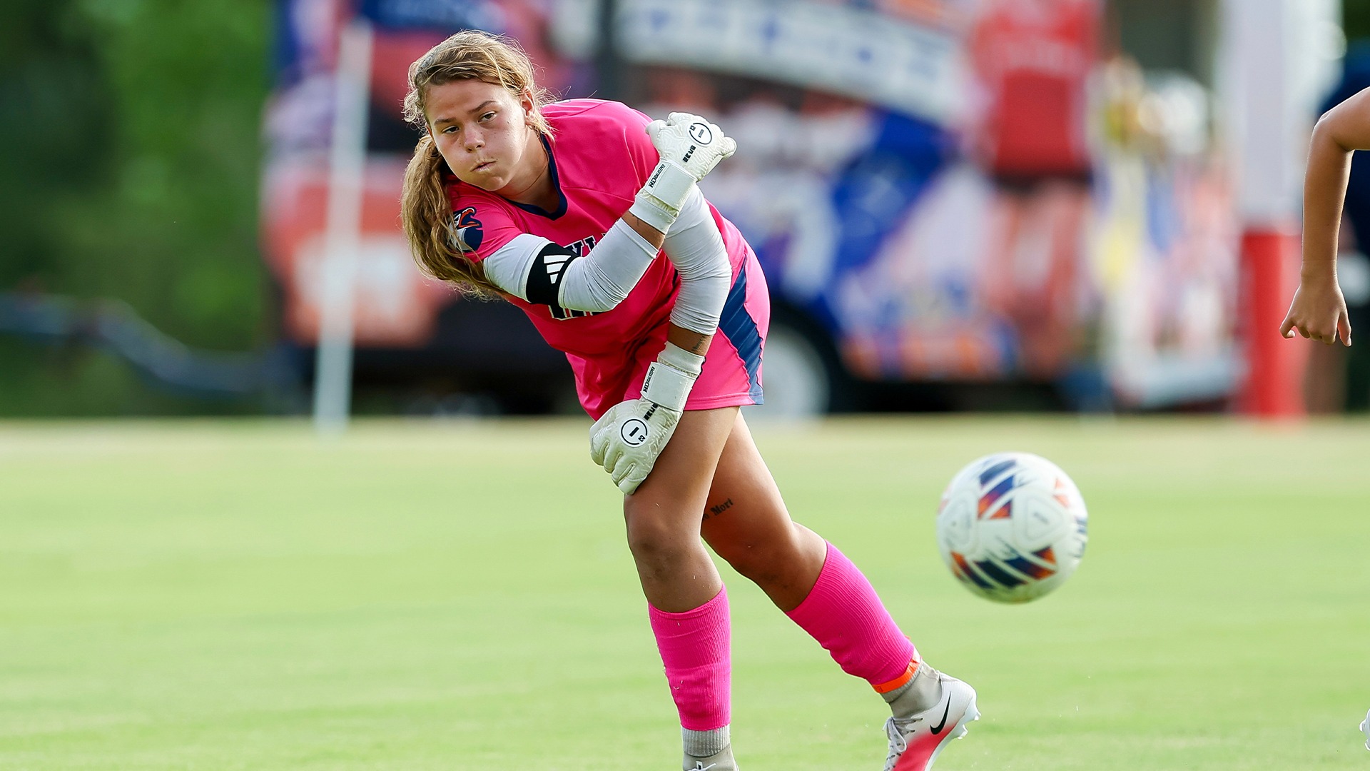 wsoc nsu