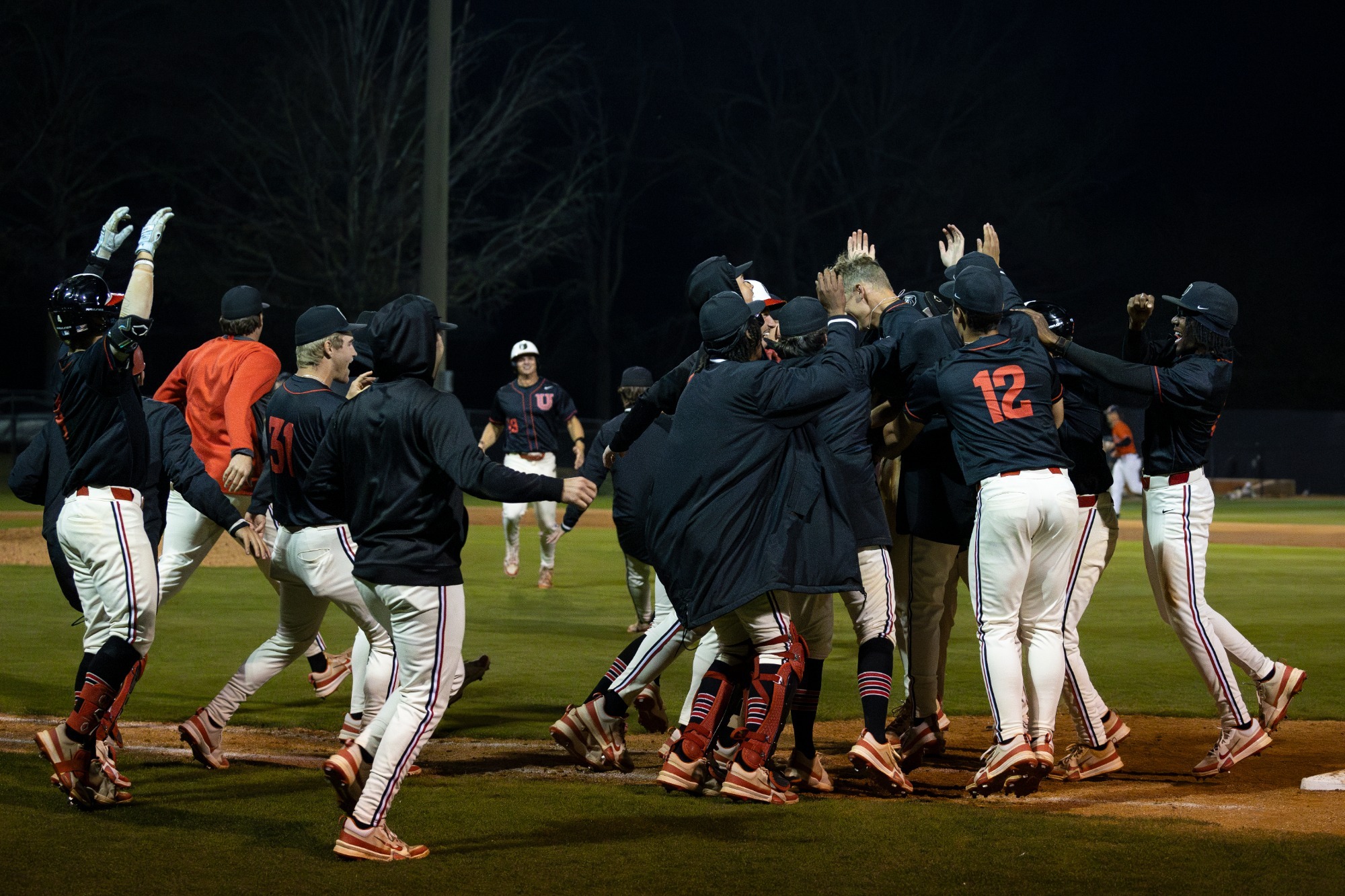 2025 baseball celebration