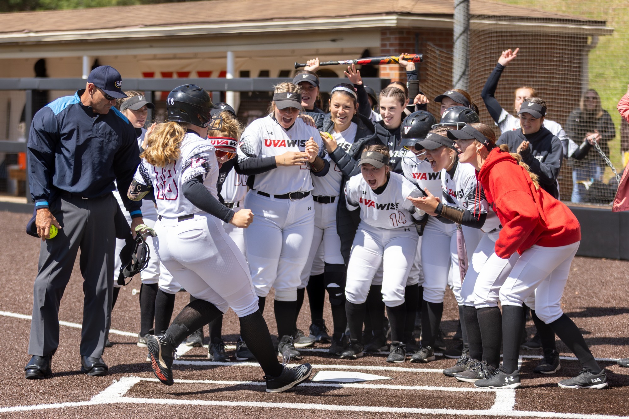 Lindsey Polan Home Run vs Catawba 2025
