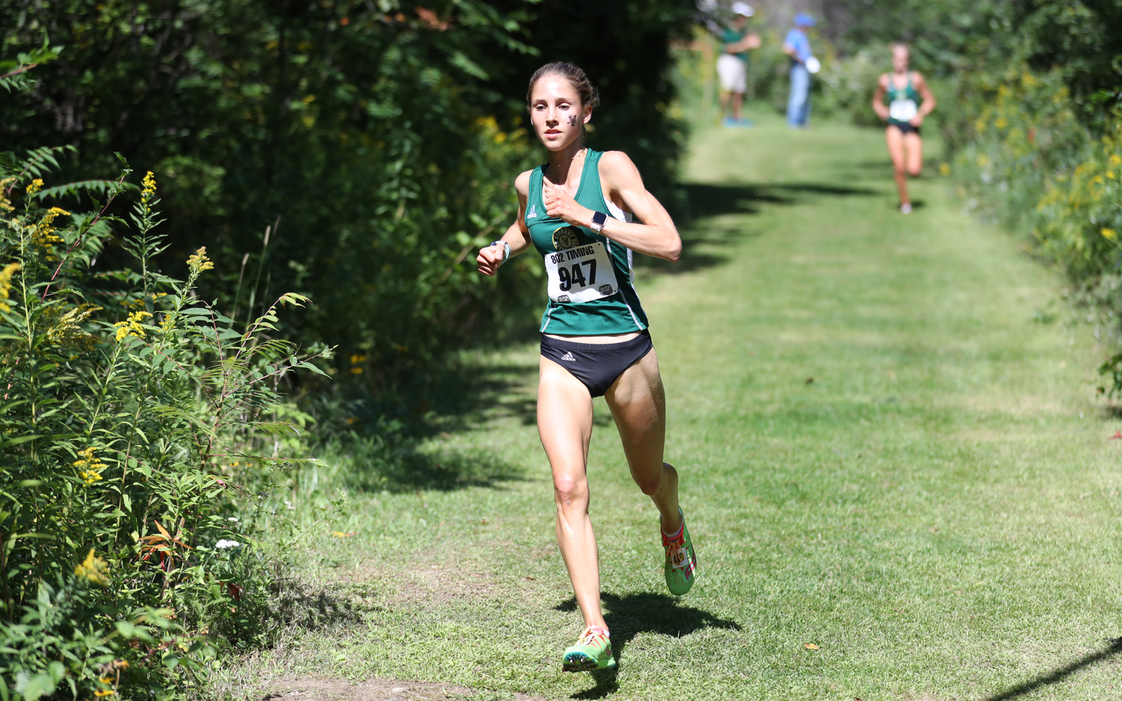 Wendeln Fall Foliage