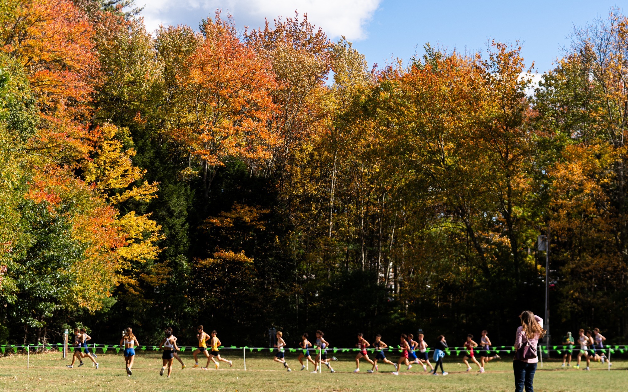 Wide shot of men's XC runners with foliage in background