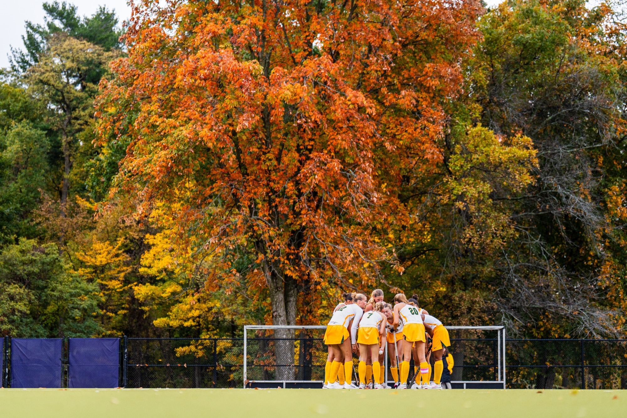 field hockey hosts 