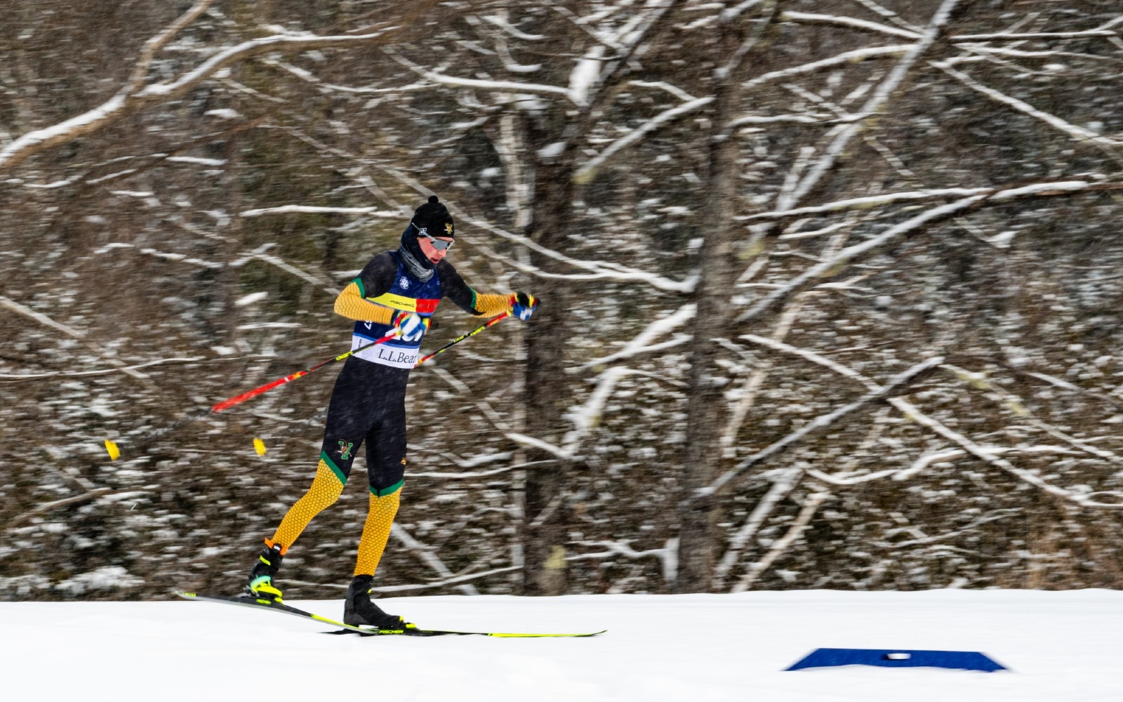 Williams Carnival Day 1 Recap 0213