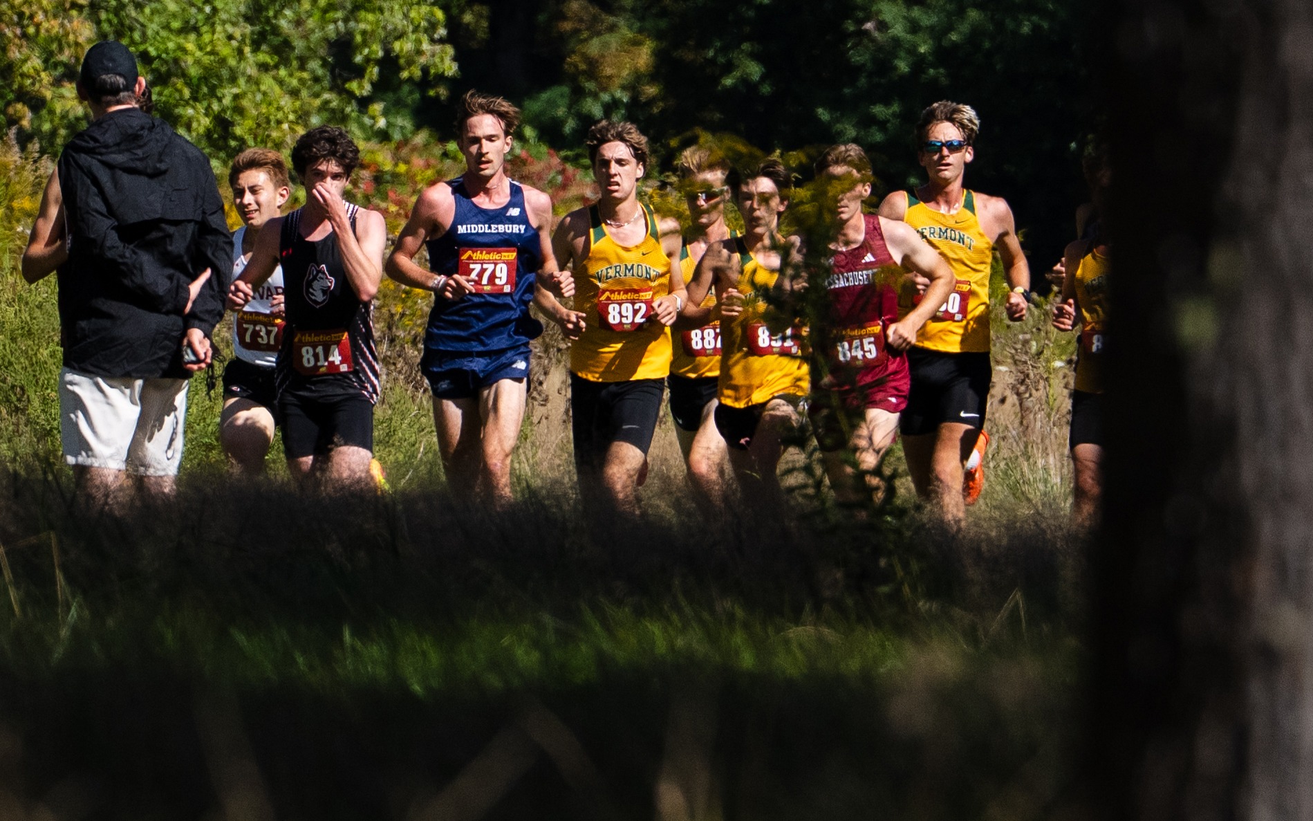 Vermont runners in a pack with trees and plants in foreground. 