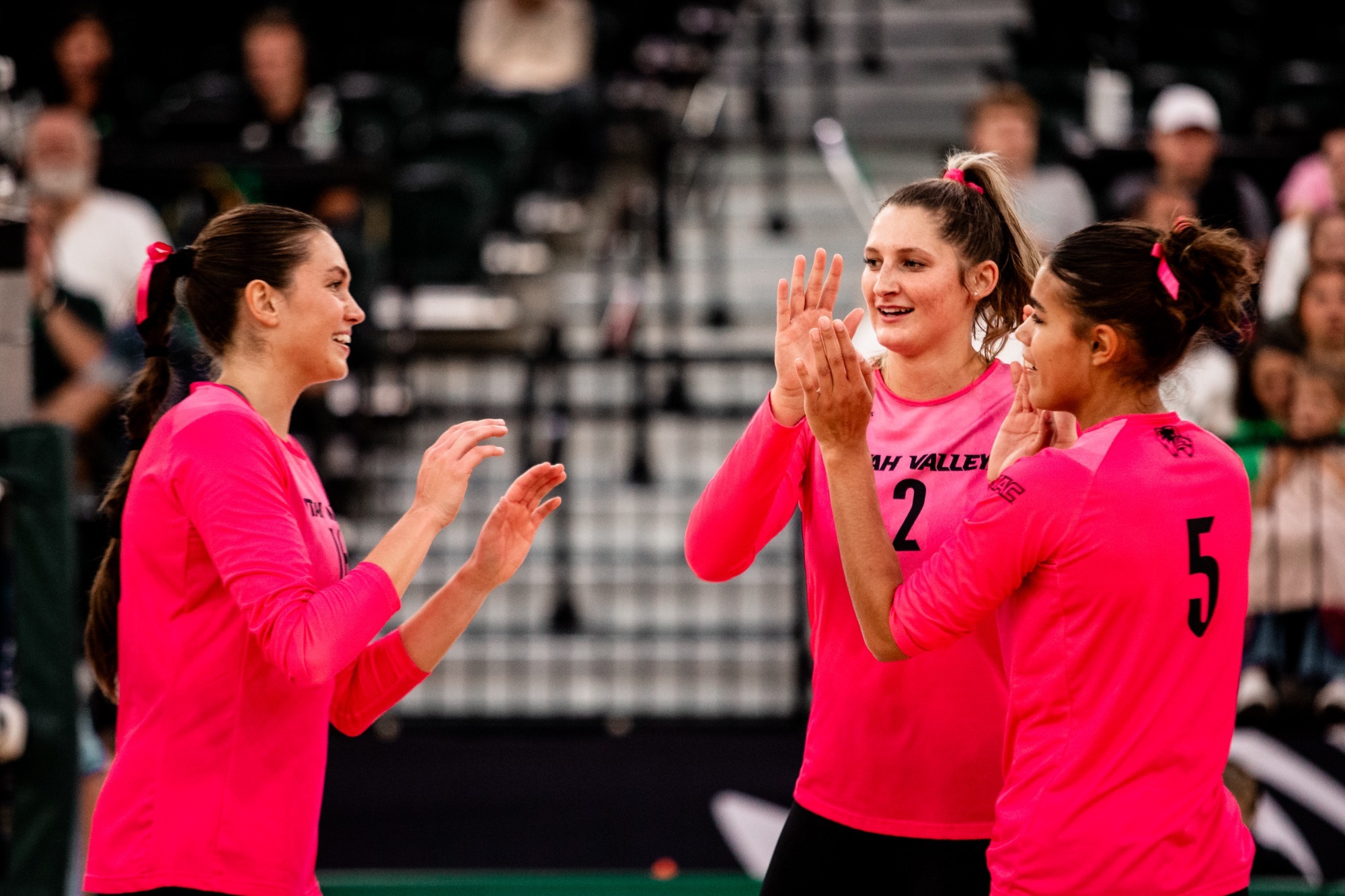 UVU Falls Despite Out Blocking UTRGV 13 3 Utah Valley University uvu-falls-despite-out-blocking-utrgv-13-3-utah-valley-university