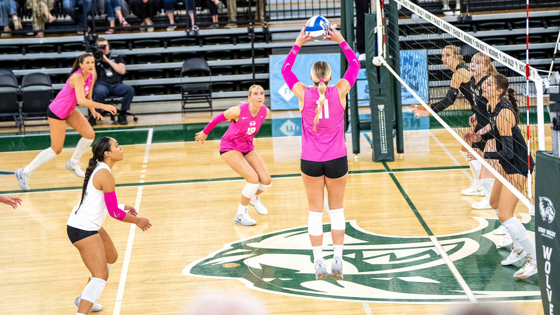 Medaris sets for the Wolverines against Long Beach State 