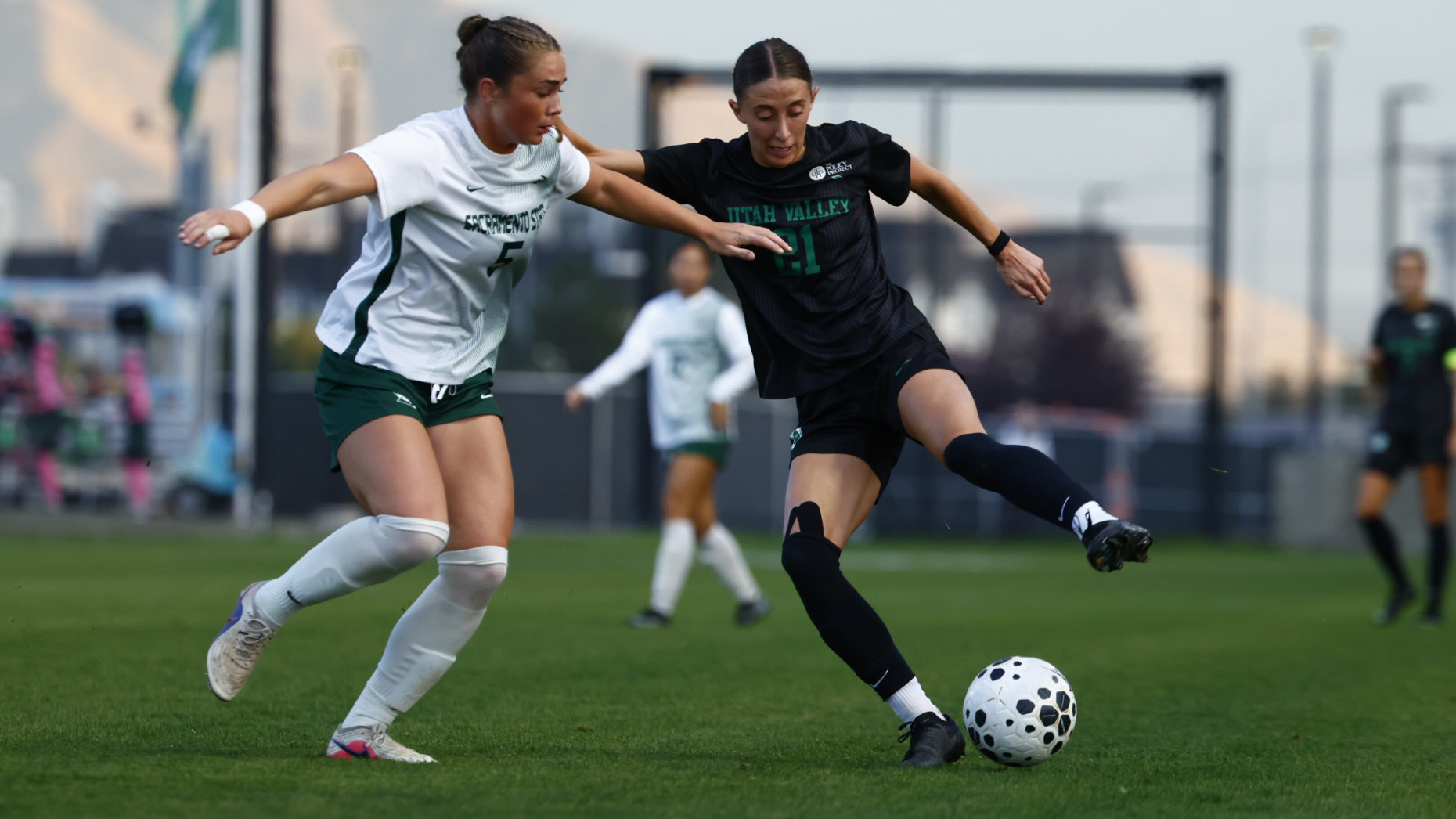 Addie Olson sac st
