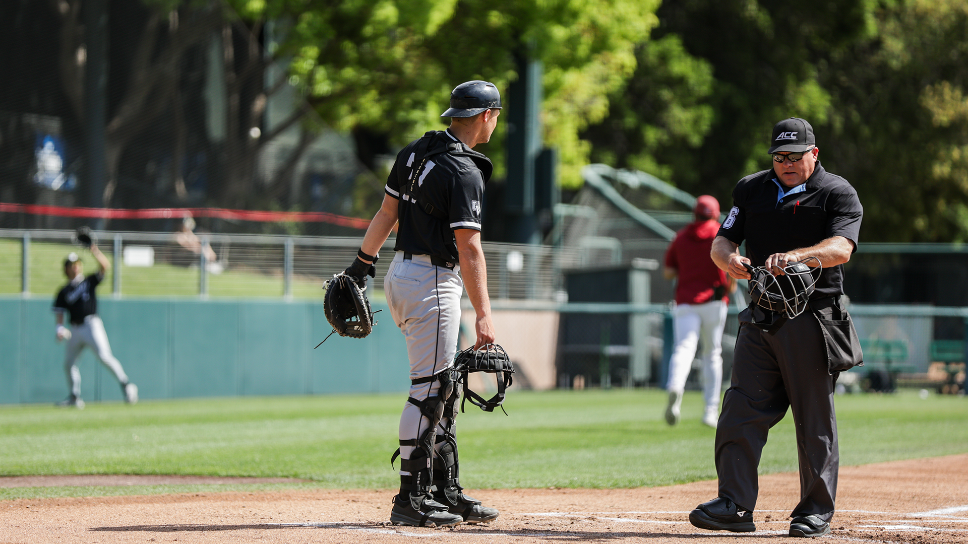 Derek Houston behind the plate at Stanford